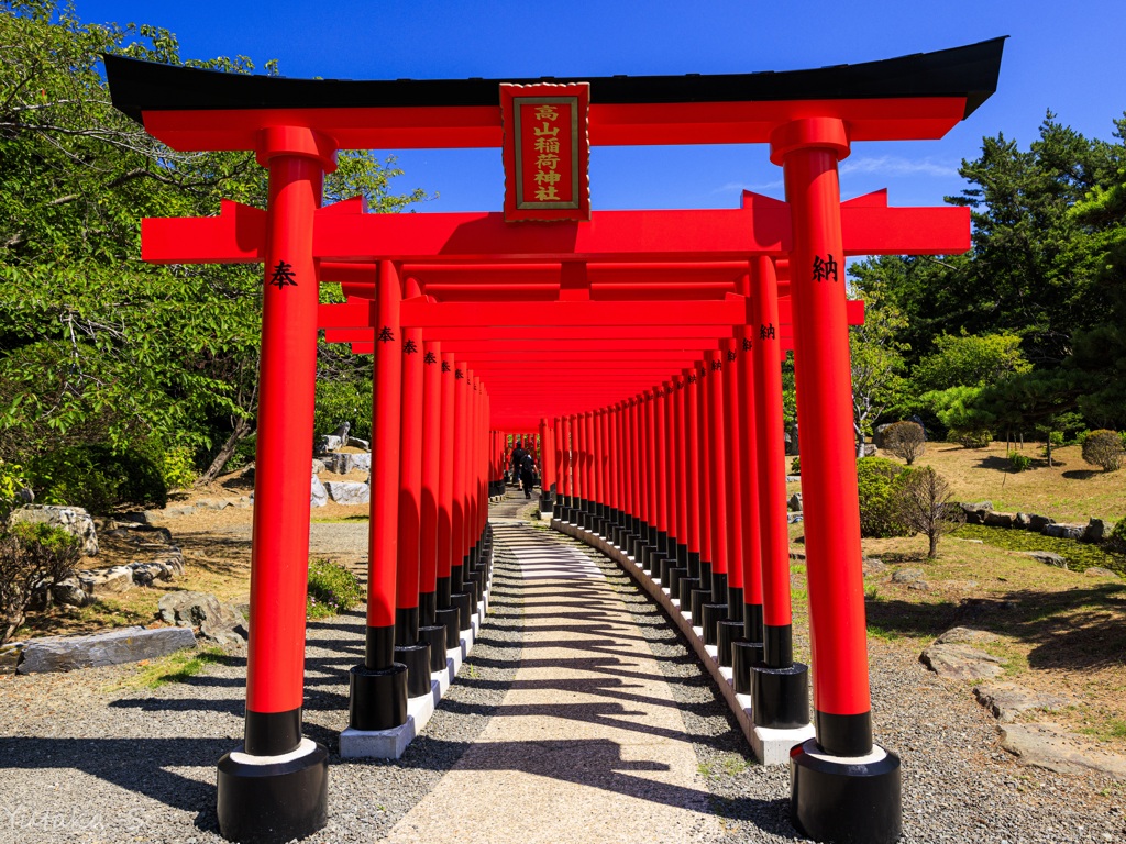 千本鳥居