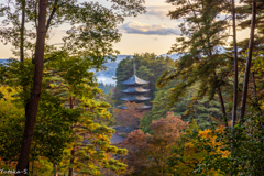 遠野の秋・福泉寺Ⅱ