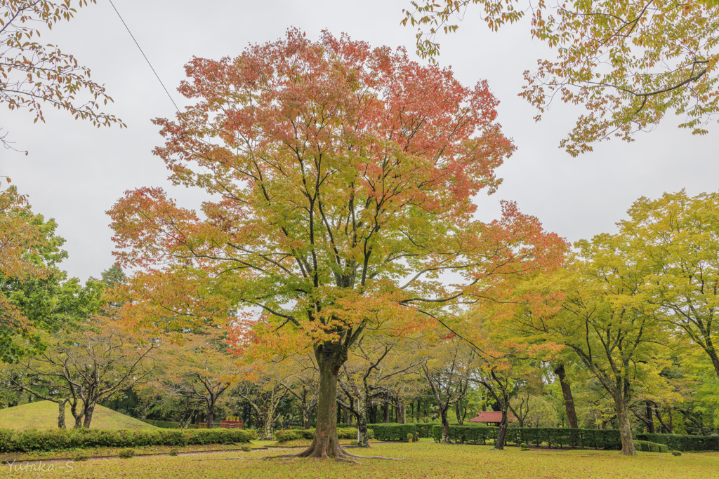 七戸町柏葉公園にて