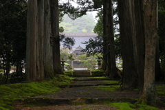 木立の奥に