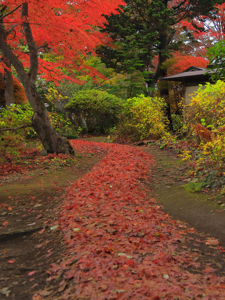 紅葉の小径