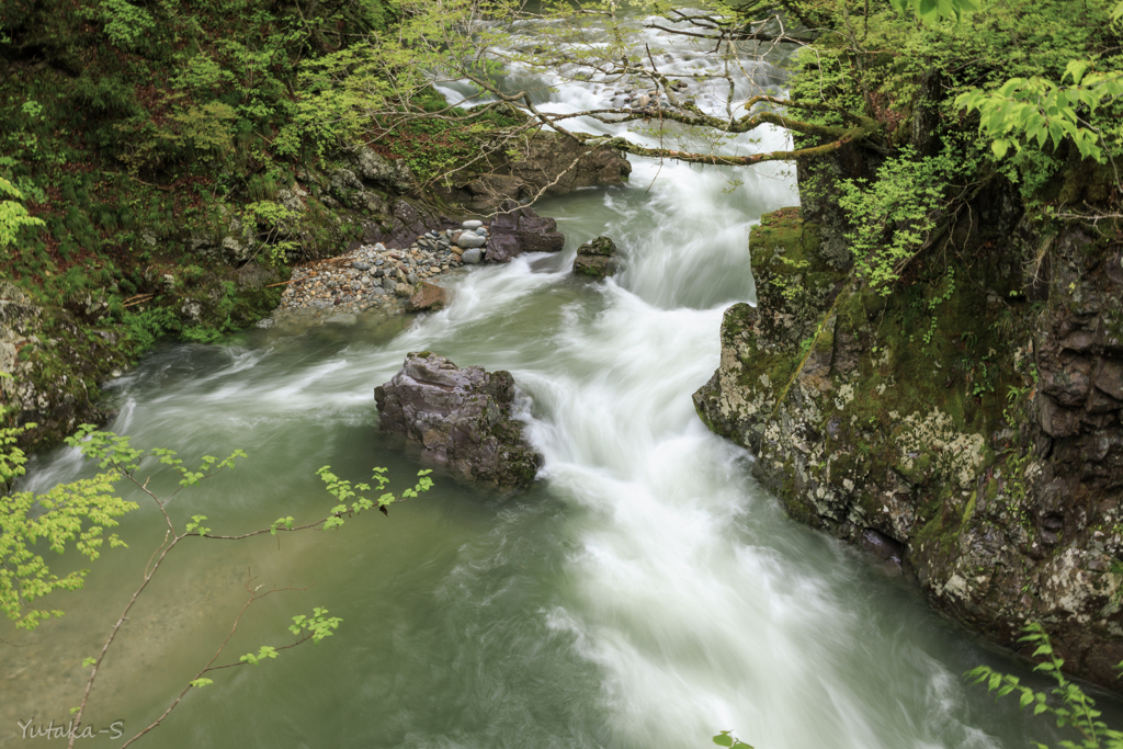 岩見川渓流・殿渕