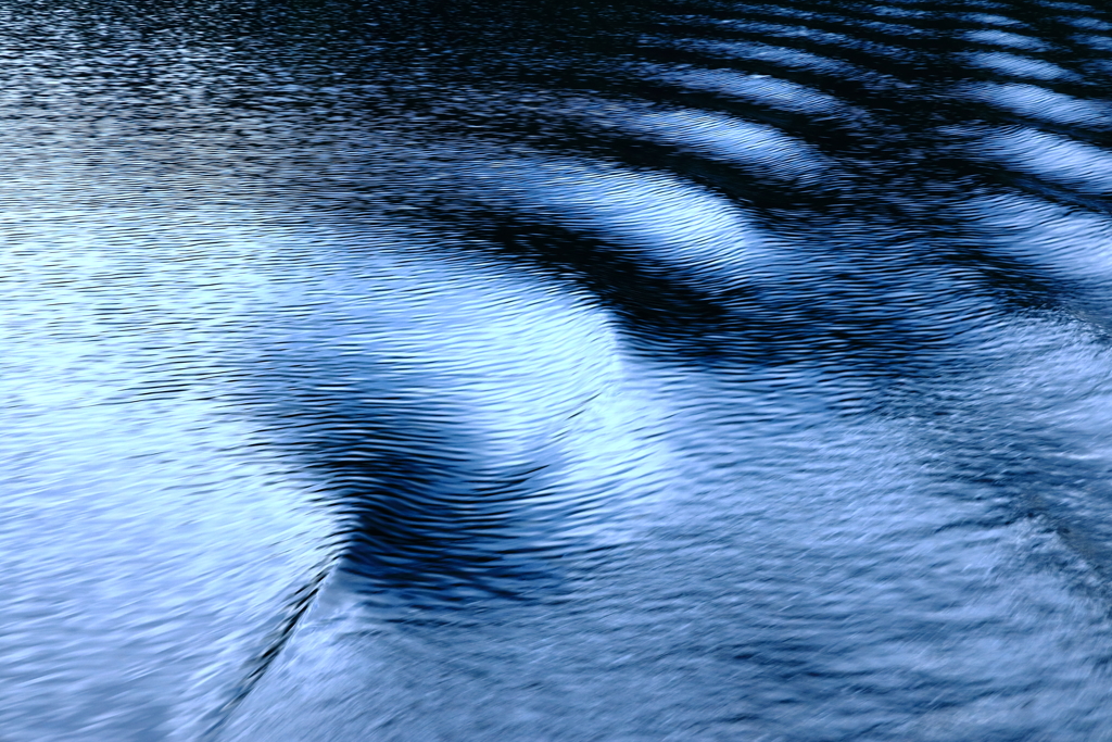WAVE