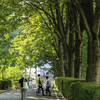 公園の情景