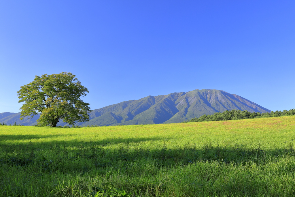 秋を迎え、いつもの