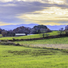牧場の黄昏