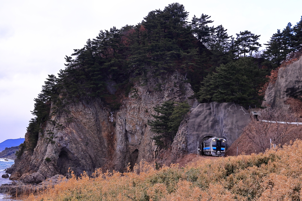 トンネルからひょっこり