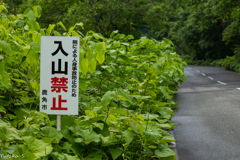 危険地帯