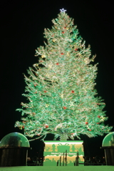ハッピークリスマス