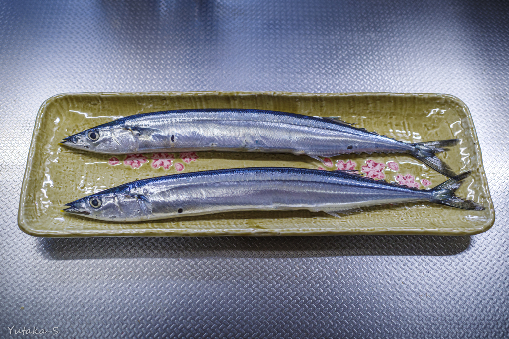 初さんまダァ～