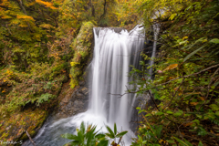 宮城･山形 秋の滝巡り 黒滝