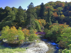 中野もみじ山