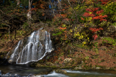 中野もみじ山・不動滝