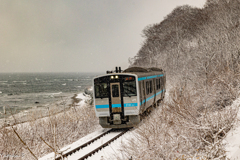 風雪の海辺往く
