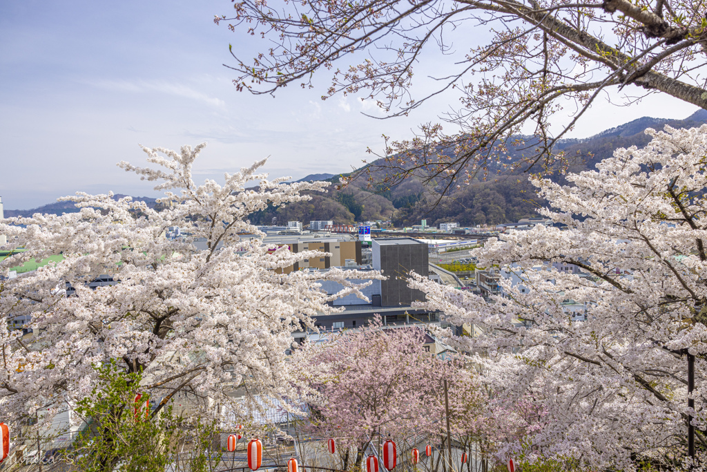 薬師公園から