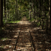森林軌道跡