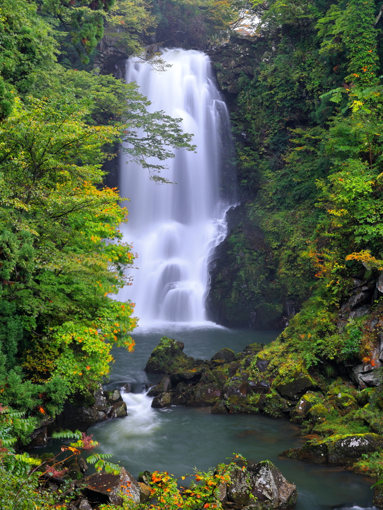 奈曽の白滝