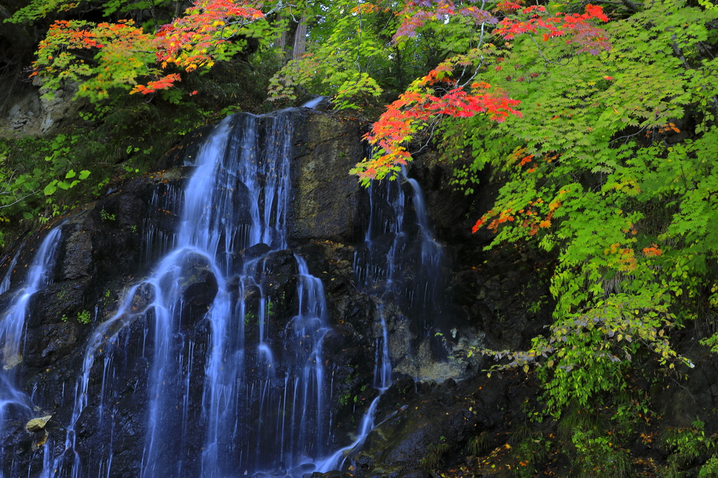 中野もみじ山・不動滝