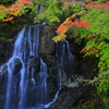 中野もみじ山・不動滝