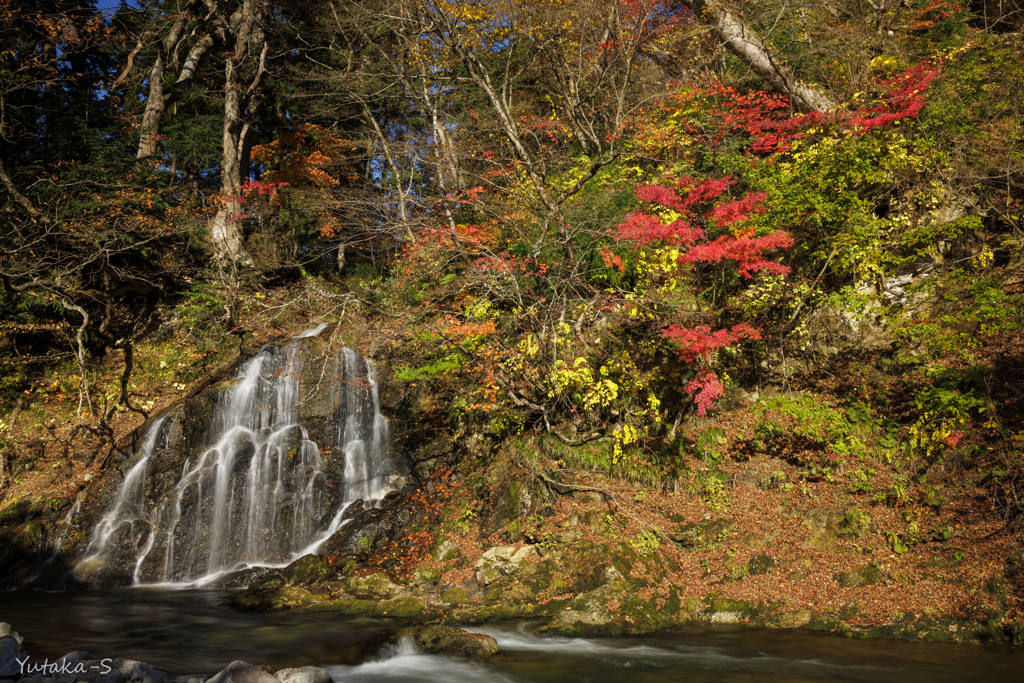 中野もみじ山・不動滝