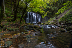 達沢不動滝・秋の画