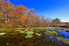 グダリ沼の秋景色Ⅱ