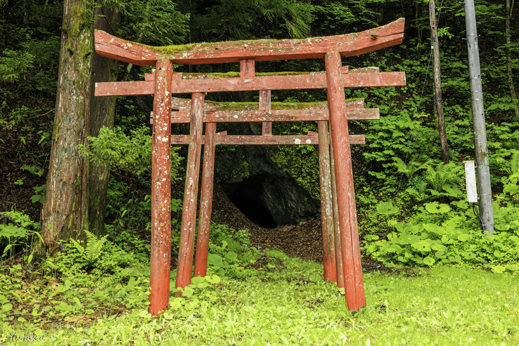 洞窟への誘い