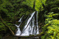 藤澤渓流四十八滝・奥川瀬の滝