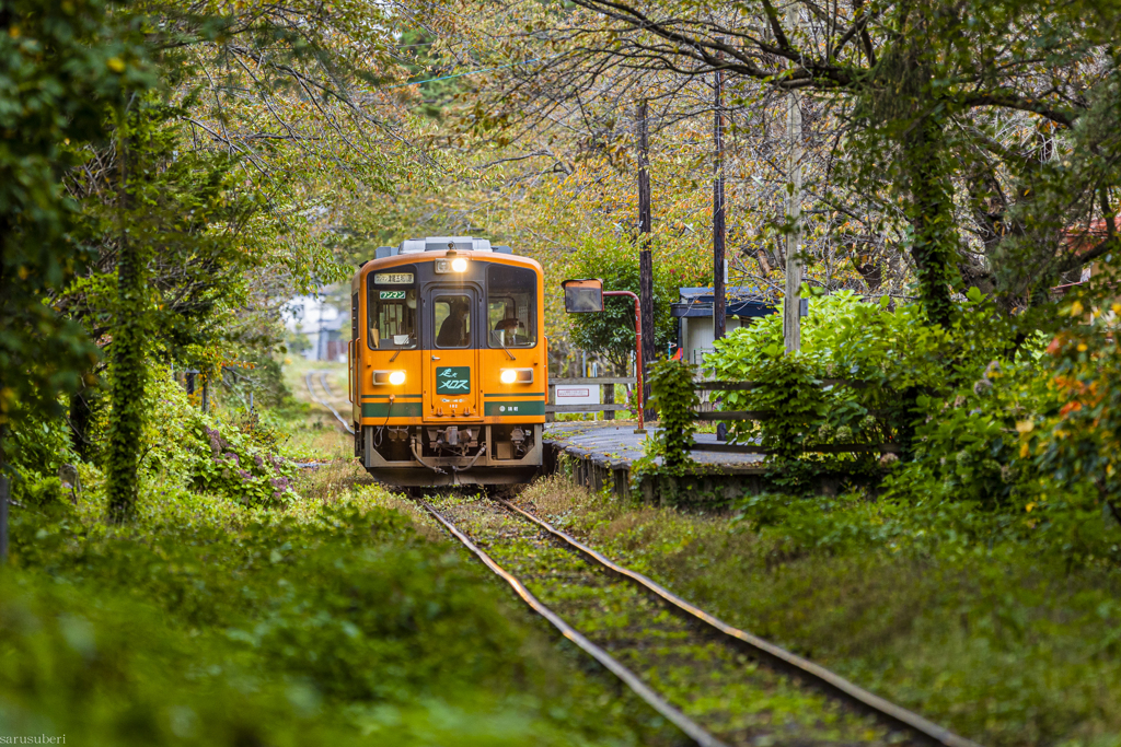 津軽鉄道の秋Ⅱ