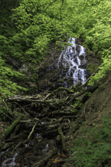 小根津戸の雌滝