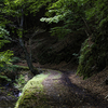路