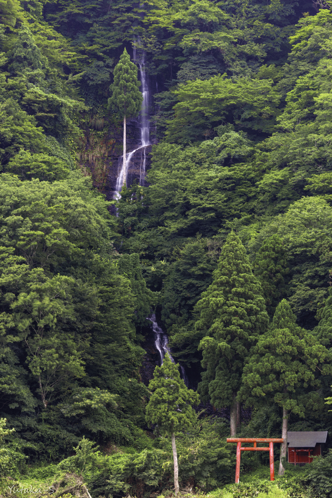 白糸の滝
