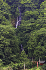 白糸の滝
