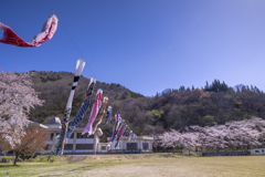 春の校庭に