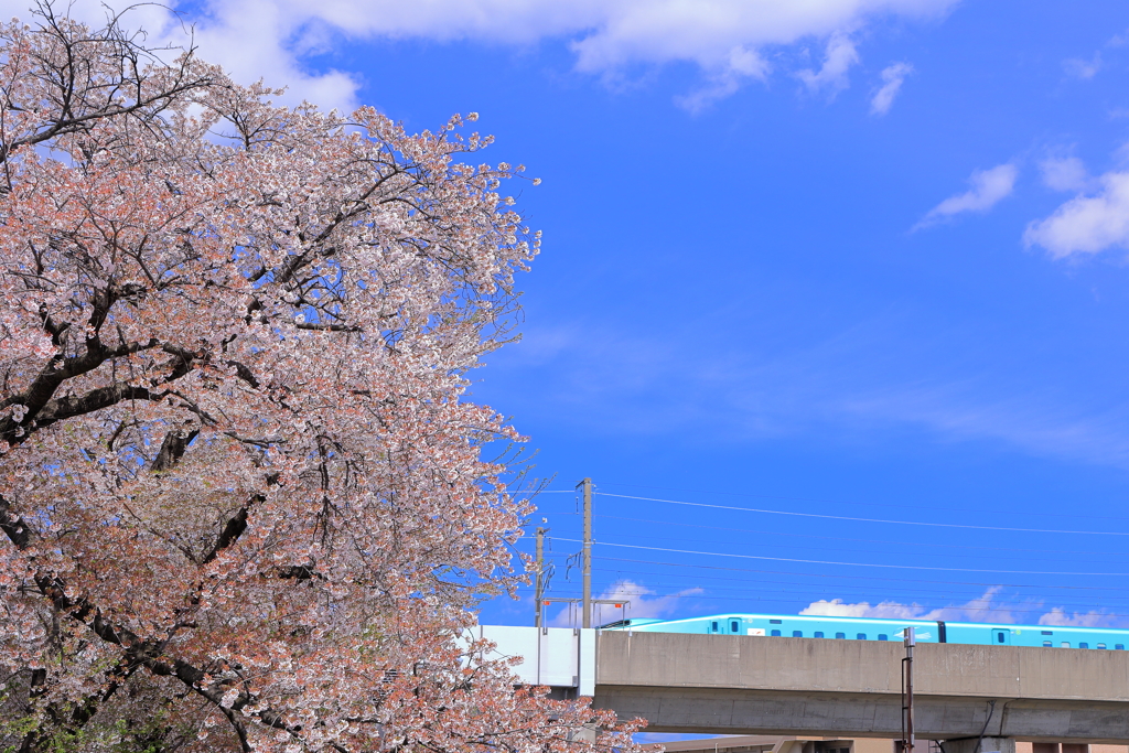 春の陽気