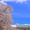 春の陽気