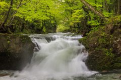 岩見川渓流・伏伸の滝Ⅲ