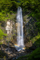 名瀑・玉簾の滝