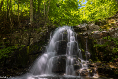 岩穴川の滝