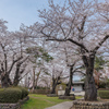 水沢公園散策
