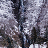 山形・白糸の滝