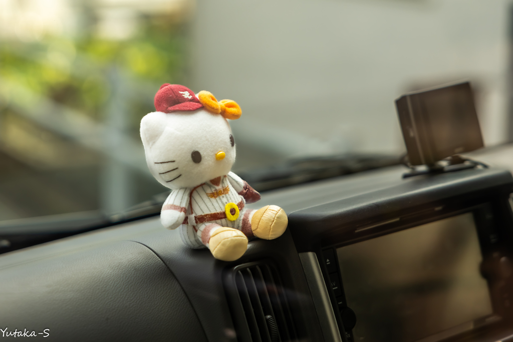 今度は何処行くの