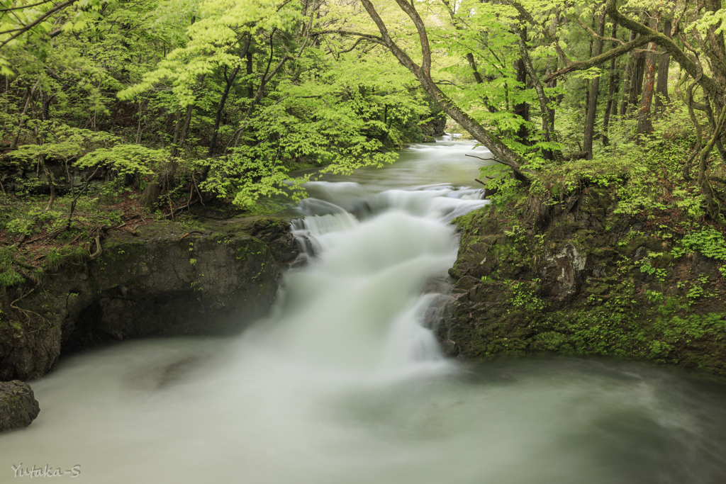 岩見川渓流・伏伸の滝Ⅱ