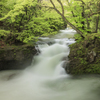 岩見川渓流・伏伸の滝Ⅱ