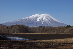 雪化粧