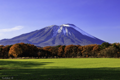 晩秋の岩手山