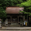 木立の中に