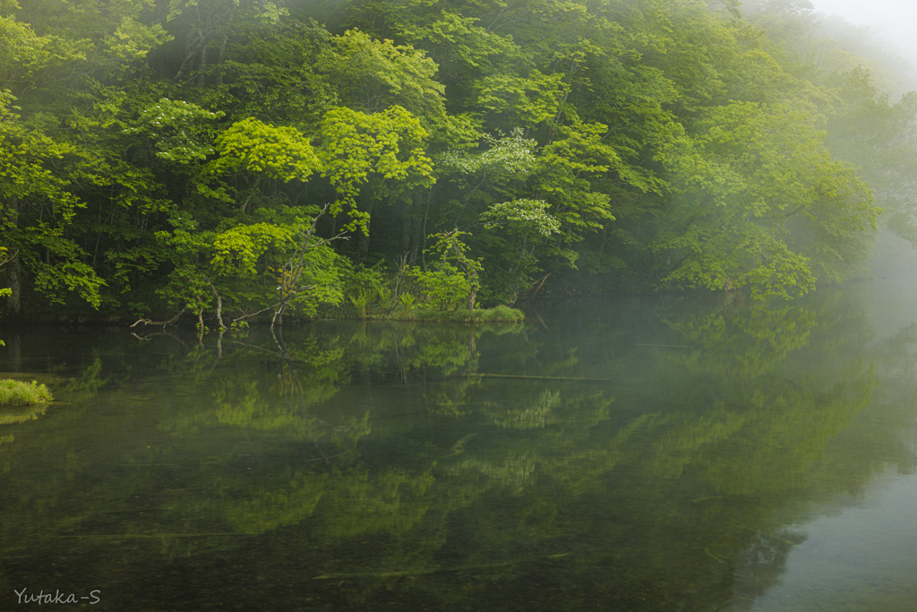 霧の蔦沼