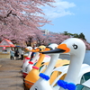 すわん勢揃い