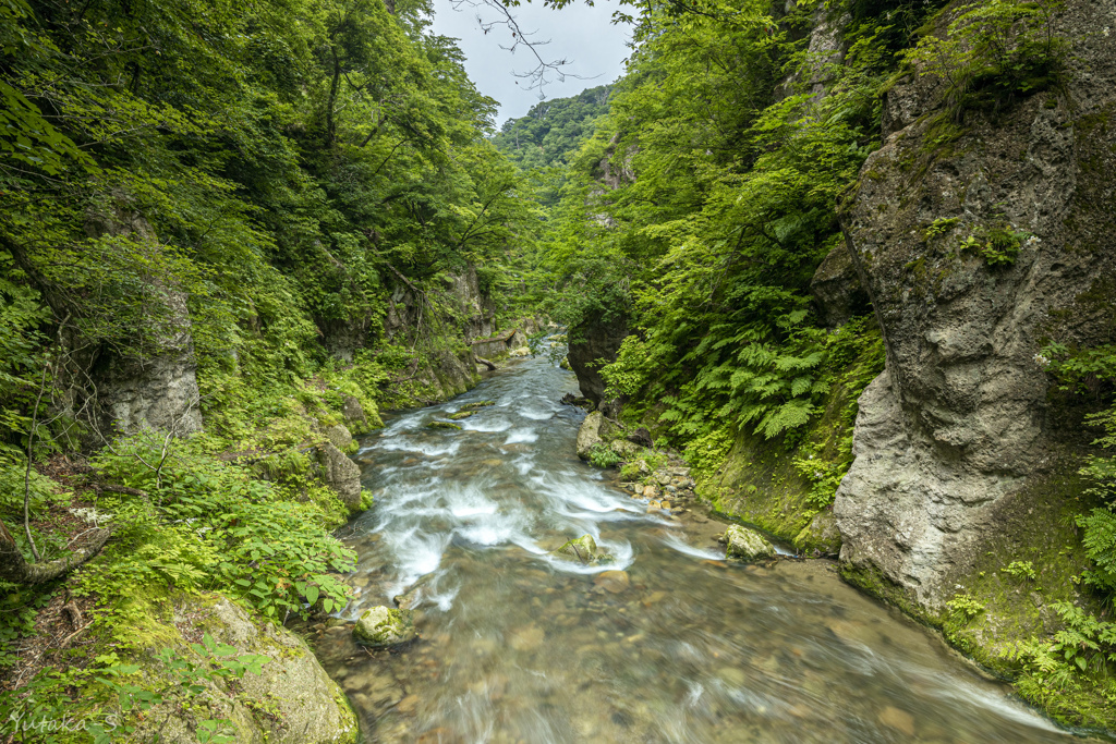 鳴子峡・暫くぶりに来たけれど
